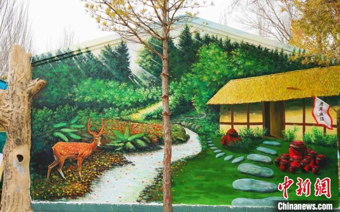 繪制好的鄉(xiāng)村墻繪。　寧夏文旅廳供圖