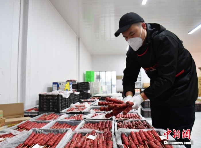 1月18日，雄安新區(qū)大樹劉莊村辛愛青家中的冰糖葫蘆加工廠，工人正在制作冰糖葫蘆。作為遠近聞名的“冰糖葫蘆村”，大樹劉莊村制作冰糖葫蘆的歷史已有100多年，全村三分之二的村民都會這門手藝，吸引不少游客慕名而來。 中新社記者 韓冰 攝